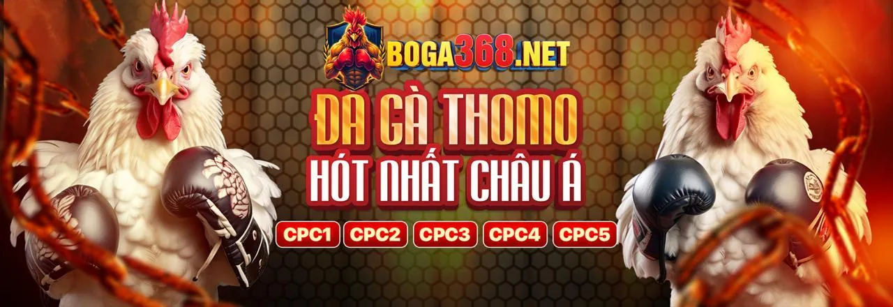 Đá Gà Trực Tuyến TT88COM - Sân Đấu Đỉnh Cao